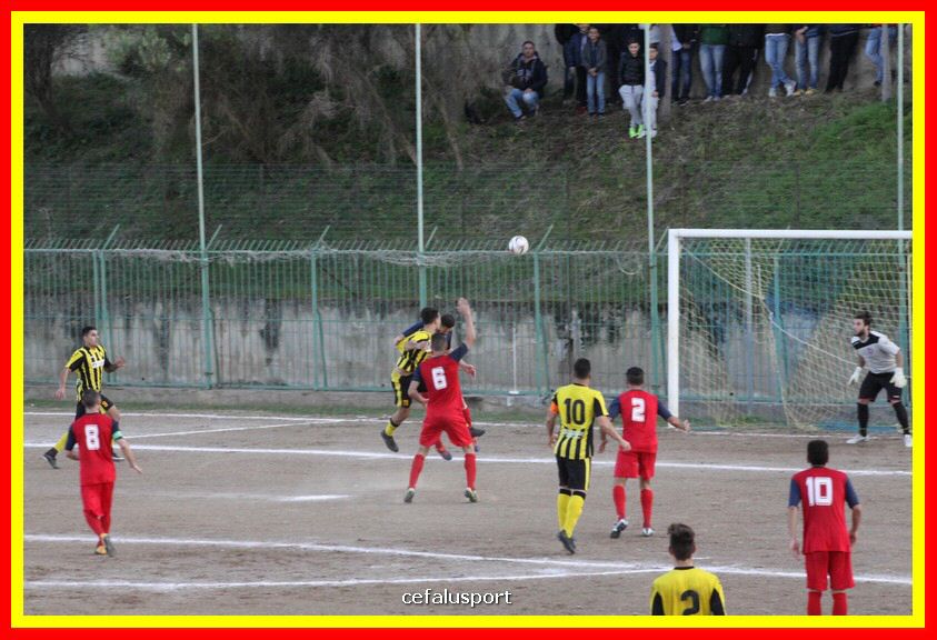 181111 Cepha_Milazzo 223_tn.JPG